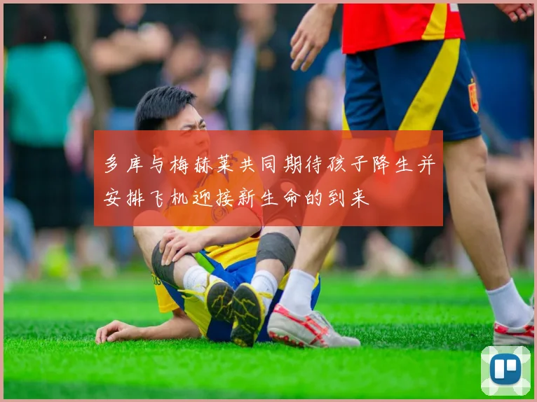 多库与梅赫莱共同期待孩子降生并安排飞机迎接新生命的到来